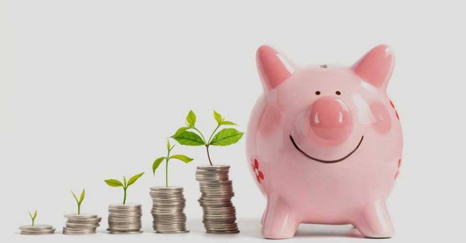 A piggy bank filled with coins and surrounded by green plants, symbolizing growth and financial savings.